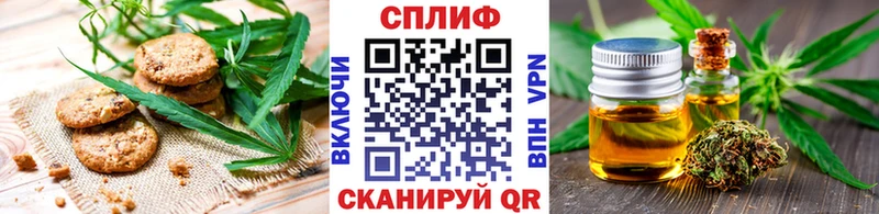 mega tor  Циолковский  Cannafood конопля 