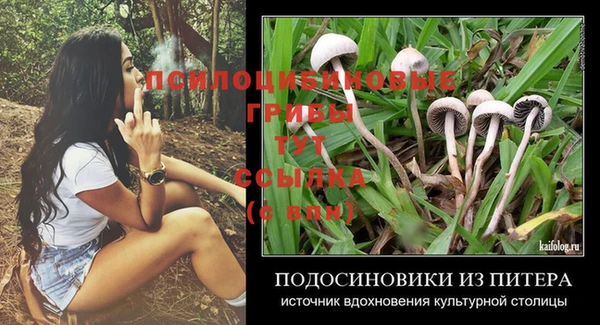 крисы Переславль-Залесский